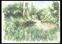 Middle Colony Creek, watercolor on paper, 9in by 13in, 2008