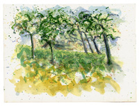 TOPANGA OAKS 10, watercolor on paper, 9in by 13in, 2008