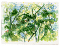 TOPANGA OAKS 9, watercolor on paper, 9in by 13in, 2008