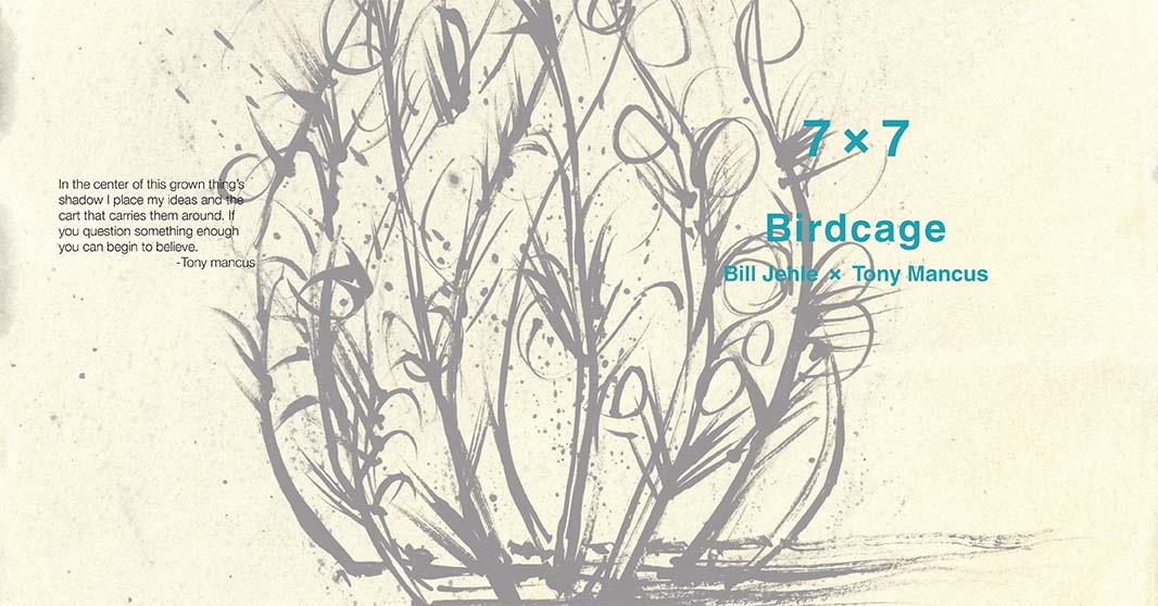 Birdcage cover Bill Jehle x Tony Mancus
