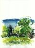 watercolor on arches, 9x13, Gus's Meadow Looking East, 2000
