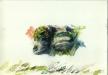 watercolor on arches, 9x13, Topanga Brush 1, 1994