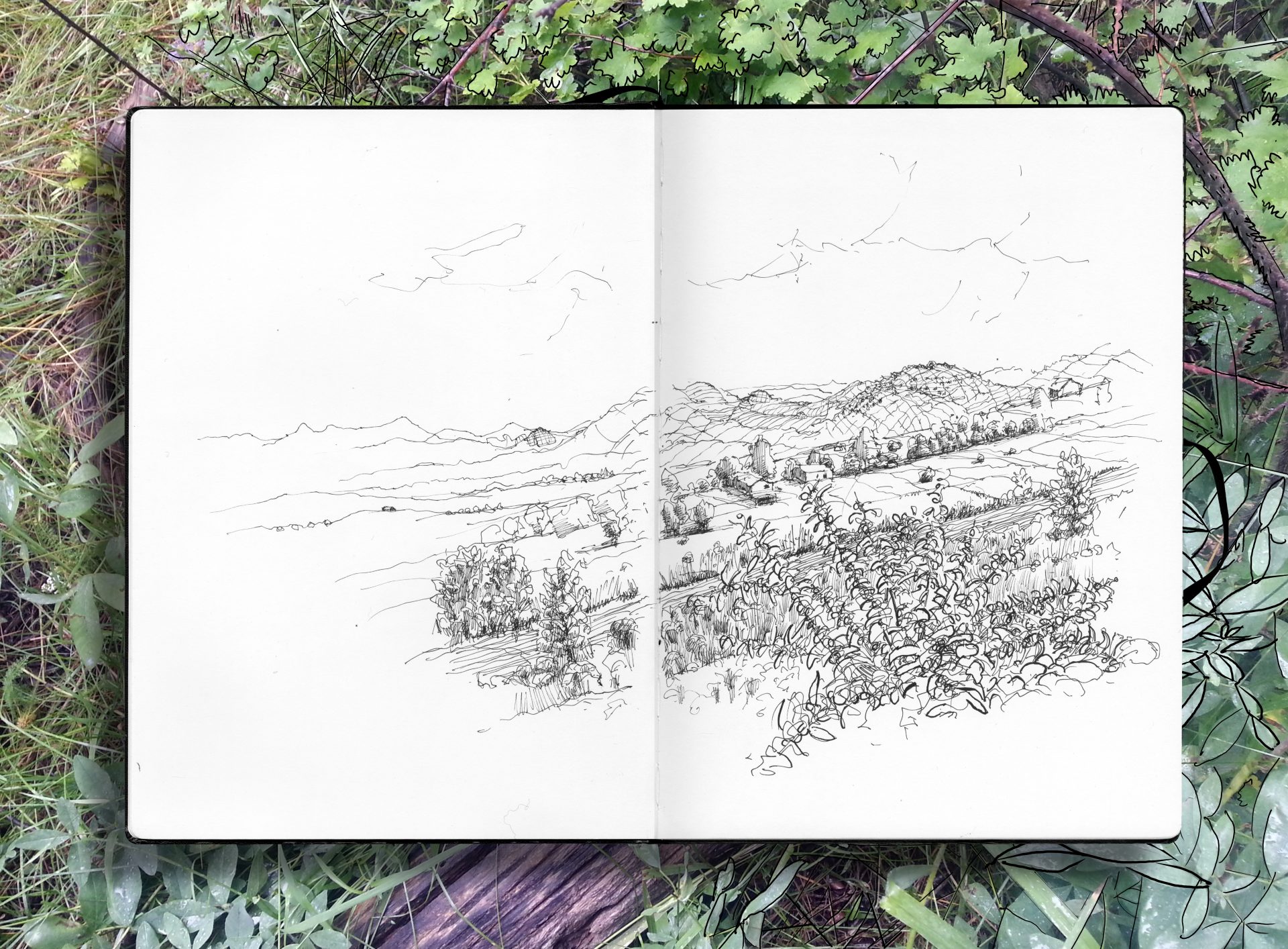 ink drawing of the view from bob and carolines house
