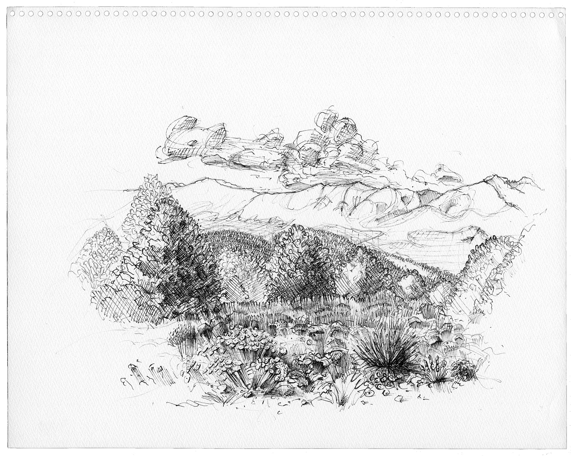 view from Bribach home Rosita, CO, ink on paper, 11x14in